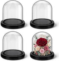 Suclain 4Pc Glass Dome Cloche with Wood Base, Black, 4.3" X 3.8" by Suclain
