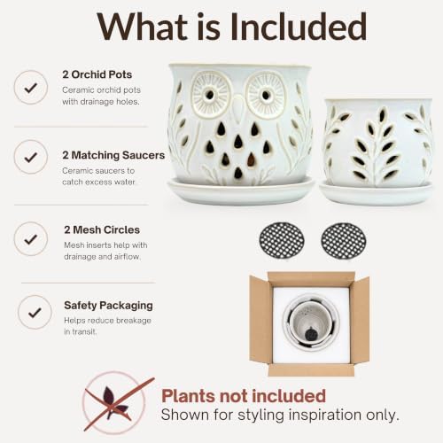 Set of 2 White Beige Vintage Owl and Leaves 4.5 + 6 Inch Orchid Pots with Holes, Premium Stoneware Ceramic Orchid Planters for Repotting with Drainage Holes - Image 6
