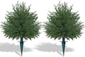 Artificial 2 Pack Norfolk Topiary Cedar Trees with Ground Spike by FEELTHENEWWORLD