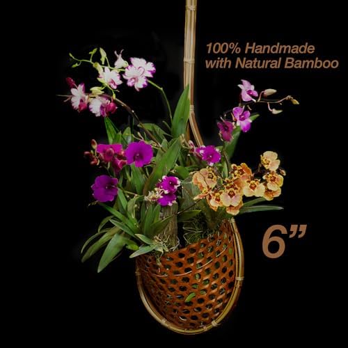 Handmade 100% Thai Bamboo Super Sanctuary Hanging Orchid Basket - 6 Inch Set of 2 - Image 2