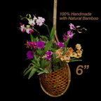 Handmade 100% Thai Bamboo 6 Inch Signature Super Sanctuary SIAM Orchid Hanging Basket with Nursery Grade Coconut Shell Staves Coir Pith Sponge & Husk Mulch - Image 2