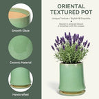 11 Inch Ceramic Planter Pot with Saucer Drainage Leak-Proof Mesh,Flower Pots for Lavender with Gardening Gloves,Ceramic Planter for Orchid (Light Green) - Image 3
