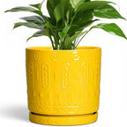 Eightpot 8 Inch Plant Pot, Ceramic Pots for Plants with Drainage Hole and Sacuer, Round Flower Pots for Indoor Outdoor Plants, Modern Decorative Planter, Table Decor, Plant Gifts for Women, Yellow by Eightpot