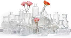 24 Pcs Glass Bud Vase Set, Small Glass Vases for Flowers, Mini Clear Bud Vases for Centerpieces, Wedding, Home, Office and Table Decoration, Clear by Unknown