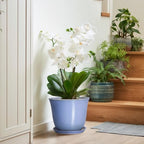 Ceramic Plant Pots, 10 Inch Plant Pot for Indoor, Purple-Blue - Image 6