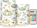 ALAZA Green Pumpkin Autumn Fall Flickering Flameless Candles Battery Operated with Remote Timer,Tea Light Candles LED Pillar Votive Candles Set of 2 for Outdoor Indoor Decorations by ALAZA