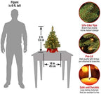 National Tree Company 24in Pre-Lit Majestic Fir Mini Christmas Tree - Image 3