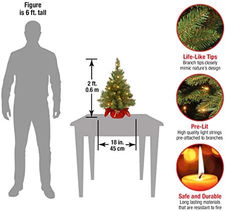 National Tree Company 24in Pre-Lit Majestic Fir Mini Christmas Tree - Image 3