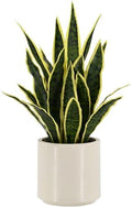 Fake Snake Plant 22" Tall, Realistic Touch Leaves, Potted Artificial Plants Indoor for Home Decor Small Office Home Living Room-Yellow by Unknown