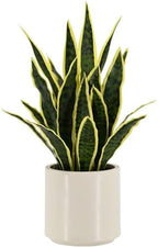 Fake Snake Plant 22" Tall, Realistic Touch Leaves, Potted Artificial Plants Indoor for Home Decor Small Office Home Living Room-Yellow by Unknown