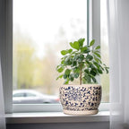 SQOWL Ceramic Planters for Indoor Plants - 8 inch Plant Pot with Drainage Hole and Saucer, Decorative Flower Pot Outdoor, Porcelain Round Planter, Living Room Decor, Gardening Gifts, Blue and Beige - Image 4