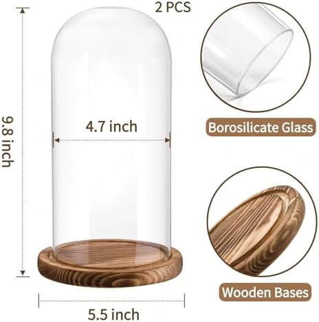 2 Pack Glass Cloche Display Dome, 10 Inch Large Decorative Glass Bell Jar, Clear Dome Showcase with Dark Brown Wooden Base, for Plants, Medals, Photos, Antique Collectibles, Mother's Day - Image 3