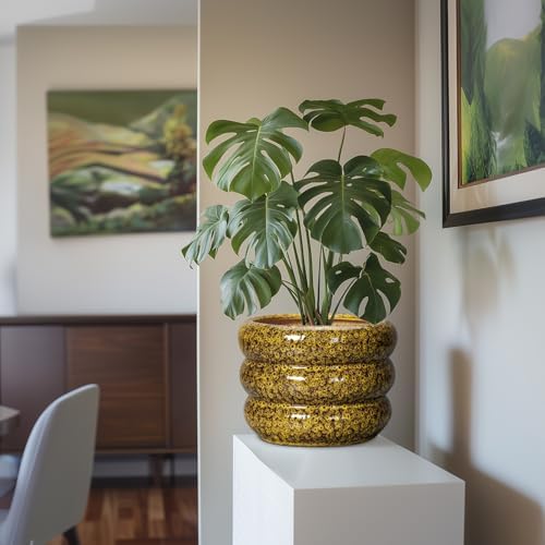 SQOWL Ceramic Flower Pots - 10 Inch Plant Pot Indoor with Drainage Hole, Round Bubble Planter for Outdoor Plants, Decorative Ceramic Plant Pot, Porch Home House Decor, House Warming Gifts, Yellow - Image 5