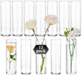 Glasseam Small Glass Flower Vase: 12Pcs Cylinder Bud Vases for Centerpieces by Glasseam