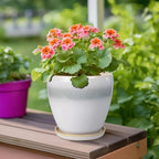 Ceramic Plant Pot - 6 Inch Ceramic Pots Indoor, White-Grey - Image 4