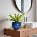 6 Inch Self Watering Pots, Ceramic African Violet Planter with Absorbent Inner Pot, Round Flower Pot for Indoor Plants, Ceramic Pots for Plants, Room Home Decor, Plant Lover Gifts, Blue - Image 5