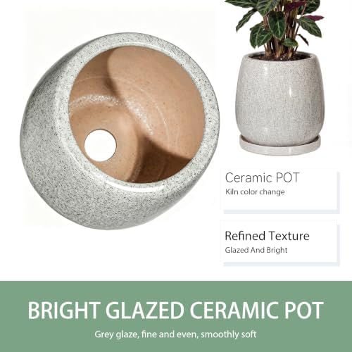 10.3 Inch Ceramic Glaze Plant Pot with Saucer, Flower Pots with Drainage Hole Mesh Net(Gray-Blue Dot) - Image 3