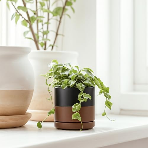 D'vine Dev 4-Pack Ceramic Pots with Saucers, Black/Tan, 3.5 in, 94-X-A-7 - Image 5