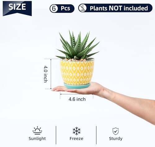 Selamica Ceramic Succulent Pots, 4.6 Inch Small Plant Pots with Drainage Holes & Saucers, Succulent Planters for Indoor Plants Cactus, Home Decor, Set of 6, Assorted Colors - Image 2