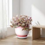 8 Inch Ceramic Plant Pot, Pink + White - Image 6