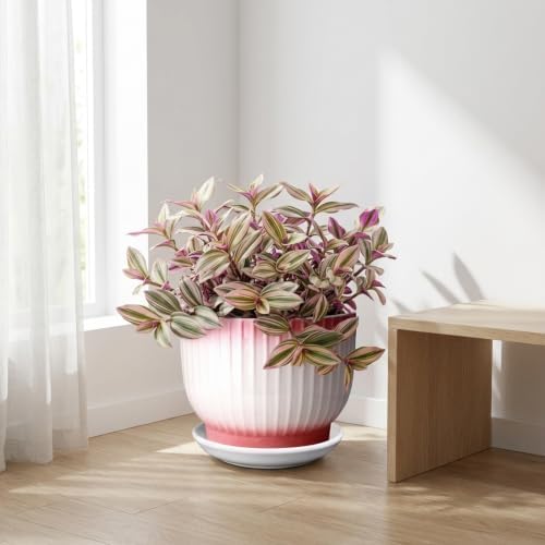 8 Inch Ceramic Plant Pot, Pink + White - Image 6