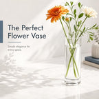 60pcs Glass Vase Cylinder Vases for Centerpieces 4,6,7.5,8,10 Inch Tall Small Flower Glass Vases Home Decor Centerpiece Table Clear Flower Vase Decorations for Wedding＆Holiday - Image 2