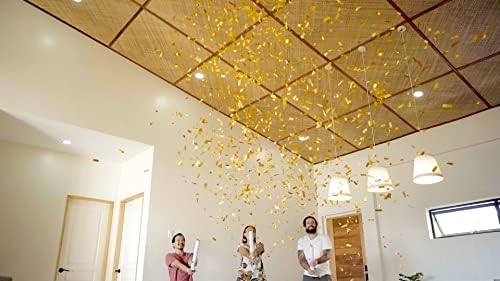 JAPJA Biodegradable Confetti Streamer Cannons, Blue & Gold, 16in, 6-Pack - Image 6