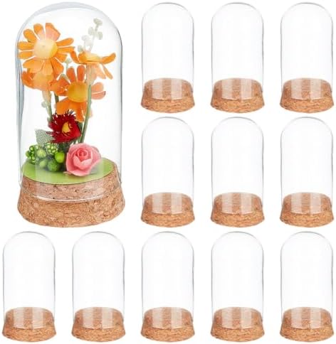 BENECREAT 20Pcs Dome Decorative Jars, 3.5x1.8 Inch Glass Display Dome Cloche Glass Bell Jar with Cork Base for Flower Storage, Specimens, Crafts Decorations by BENECREAT