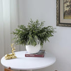 16Pcs 18"Lifelike Touch Artificial Norfolk Pine Branches for Vase Christmas - Image 4