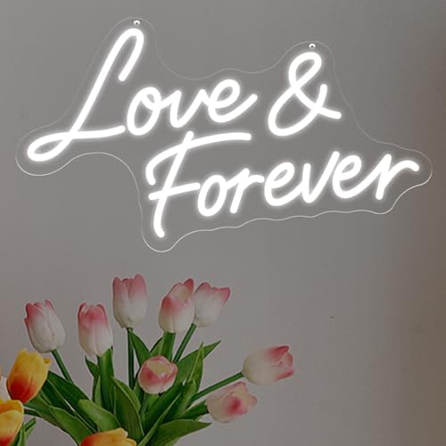 Love & Forever Neon Sign – 16.9″ × 9.4″ Romantic LED Wall Light Dimmable by DUOLIYBC