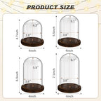 Suclain 4Pc Glass Dome Cloche with Wood Base, Brown, 4.3/5.1/5.9/6.7 x 3.8 - Image 2