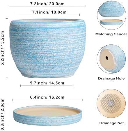 SQOWL Ceramic Planter - 8 inch Pot for Plants Indoor Outdoor, Modern Ceramic Flower Pot with Drainage Hole and Saucer, Decorative Round Planter, Home Office Decor, Plant Lovers Gifts, Blue - Image 3