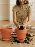 INGOFIN Terracotta Pot Set of 2 with Saucer - 10 Inch Ceramic Clay Pot for Plants with Drainage Hole, Large Terra Cotta Flower Planter with Tray for Indoor Outdoor Plants - Image 5