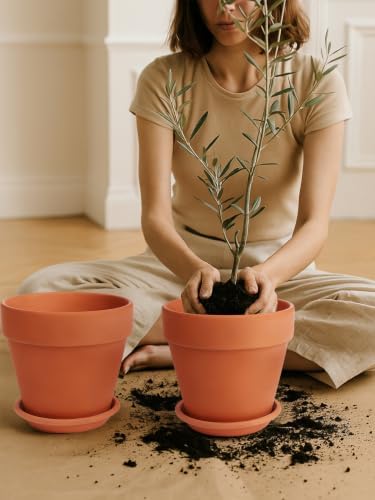 INGOFIN Terracotta Pot Set of 2 with Saucer - 10 Inch Ceramic Clay Pot for Plants with Drainage Hole, Large Terra Cotta Flower Planter with Tray for Indoor Outdoor Plants - Image 5