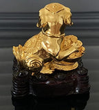 Betterdecor Gold Color Feng Shui 12 Chinese Zodiac Animal Statue Figurine Home Office Decoration and Gift for New Year Holidays and Birthday (Zodiac Dog) - Image 5