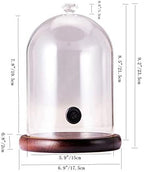 Smoke Glass Cloche with Walnut Base for Food Smoking, Cocktails & Display - Image 6