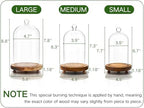 Pumtus 3 Sizes Cloche Glass Dome, Tall Glass Bell Display Case with Wooden Base & Handle, Dustproof Clear Decorative Jar for Plants, Medal, Photo, Home Party Wedding Decor Gift (4.7''/3.9''/3.5'') - Image 2
