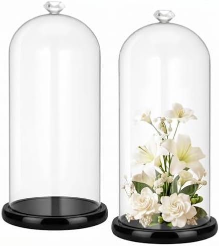 Suclain 2 Pcs 2Pcs 13.8 Inch Tall Glass Cloche Display Dome,Black,Diamond by Suclain