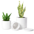 D'vine Dev 3-Pack White Terracotta Pots & Saucers, 4/5/6 in, 40-T-A-1 by DvineDevPlanterPotsandStand