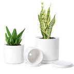D'vine Dev 3-Pack White Terracotta Pots & Saucers, 4/5/6 in, 40-T-A-1 by DvineDevPlanterPotsandStand