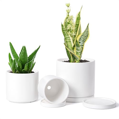 D'vine Dev 3-Pack White Terracotta Pots & Saucers, 4/5/6 in, 40-T-A-1 by DvineDevPlanterPotsandStand