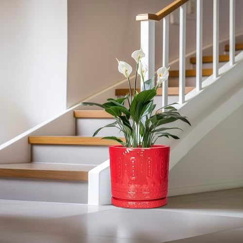 Eightpot 12 Inch Pots for Plants, Ceramic Pots for Plants Indoor Outdoor, Round Flower Pot with Drainage Holes and Saucers, Modern Decorative Planter, Home Porch Decor, Gardening Gifts, Red - Image 4