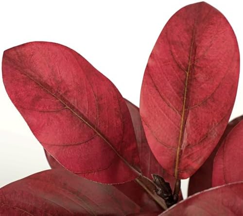 Briful Artificial Magnolia Leaves Stems 3 Pack 22in Red Fake Magnolia Branches for Vase Fall Leaves Stems for Home Room Arrangements Centerpieces Thanksgiving Décor (Vase Not Included) - Image 3