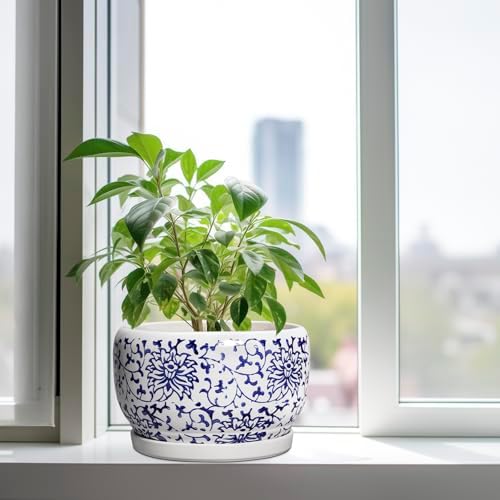 SQOWL Ceramic Pots for Plants - 10 Inch Ceramic Flower Pots with Drainage Hole and Saucer, Round Large Planter Indoor, Decorative Porcelain Planter Outdoor, Home Decor, Birthday Gifts, Blue and White - Image 4
