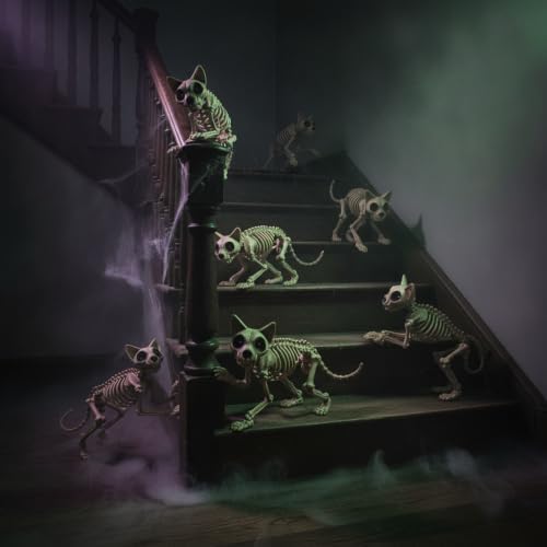 Halloween Toy Skeleton Cat, Spooky Decorative Figure, Haunted Holiday Décor - Image 3