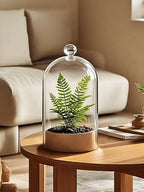 Handmade Glass Cloche, Thick & Sturdy, Dia 6"xH 12", For Terrarium, Plants, Trinkets, Cakes, Figurines, LED Light String, Candle. Cloche Glass Dome, Bell Jar Display Case (1, 6"x12") - Image 4