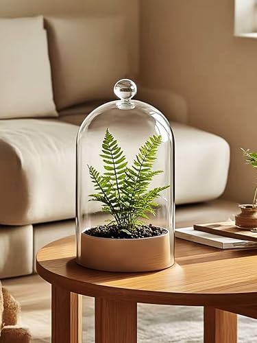 Handmade Glass Cloche, Thick & Sturdy, Dia 6"xH 12", For Terrarium, Plants, Trinkets, Cakes, Figurines, LED Light String, Candle. Cloche Glass Dome, Bell Jar Display Case (1, 6"x12") - Image 4