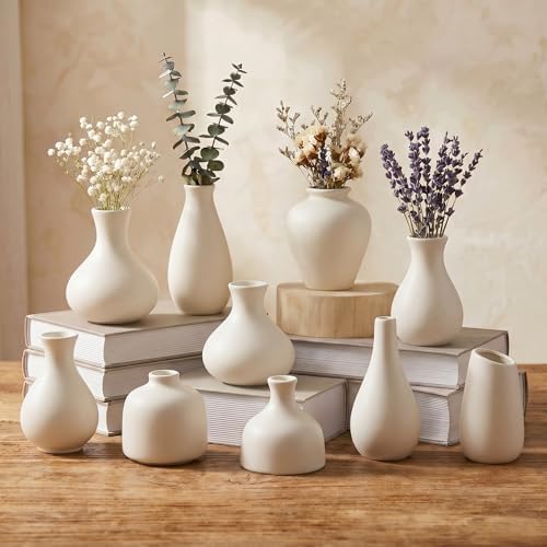 White Ceramic Bud Vase Set of 10, Small Vases for Pampas Grass, Flowers, Mini Vases for Modern Home Decor, Minimalist Decor, for Living Room, Dining Table & Shelves by Unknown