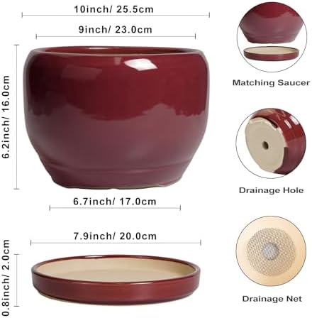 SQOWL Ceramic Pot for Plants - 10 Inch Indoor Planter with Drainage Hole and Saucer, Round Modern Planter Outdoor, Decorative Large Plant Pot for Flower, Living Room Decor, Garden Gifts, Red - Image 3