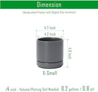 D'vine Dev 4-Pack Ceramic Pots with Saucers, Grey, 4.7 in, 94-X-B-3 - Image 3